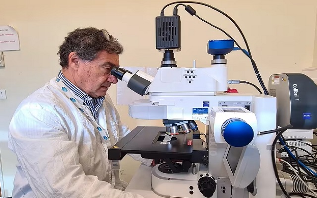 Un experto biólogo argentino liderará un importante avance contra el cáncer de páncreas