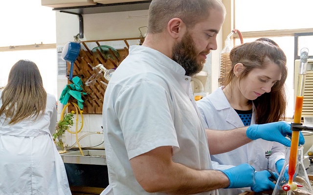 PLANTAS NATIVAS CONTRA LOS VIRUS