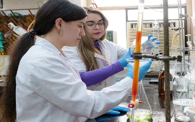 PLANTAS NATIVAS CONTRA LOS VIRUS