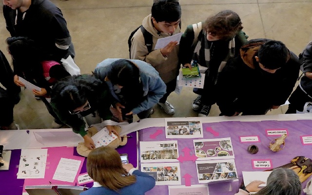 Actividades para toda la comunidad