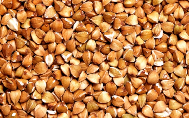 Importantes avances en la producción de trigo sarraceno